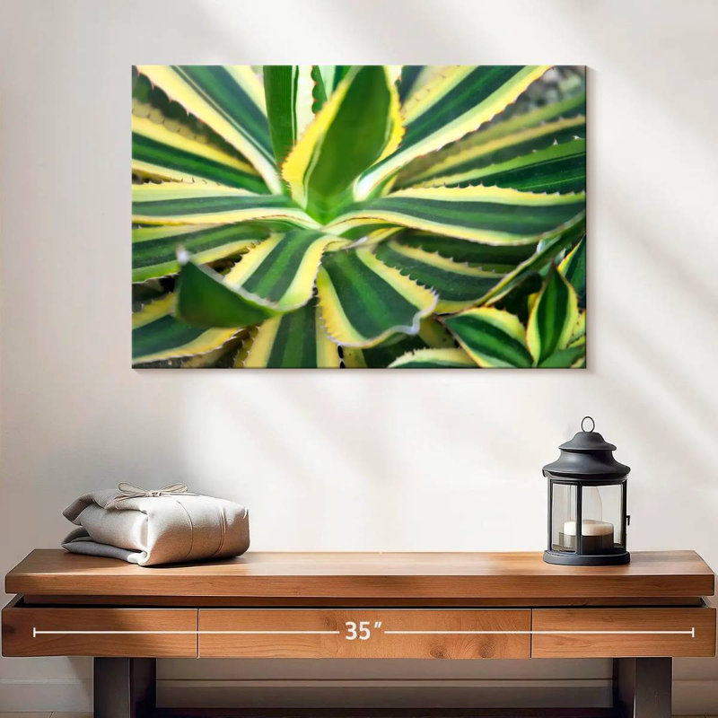 Harnek Pure Agave, 16" H x 24" W