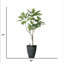 Arbre à violon artificiel en pot 77 po