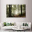 Impression sur toile Forest Forest-103316379