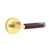 Unlacquered Brass