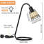 Malila Metal Desk Lamp