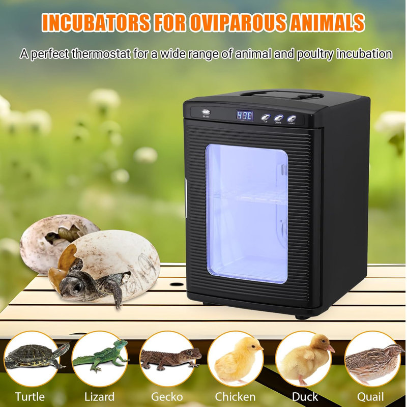 25 L Incubator, Portable Reptile Science Laboratory Incubator, Temperature Controlled 10°c-60°c For Small Reptiles, Cooling And Heating Digital Incubator, Incubator 12v/110v
