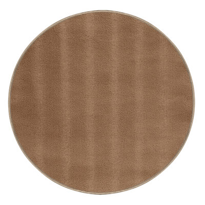 Machine Washable Solid Brown Area Rug