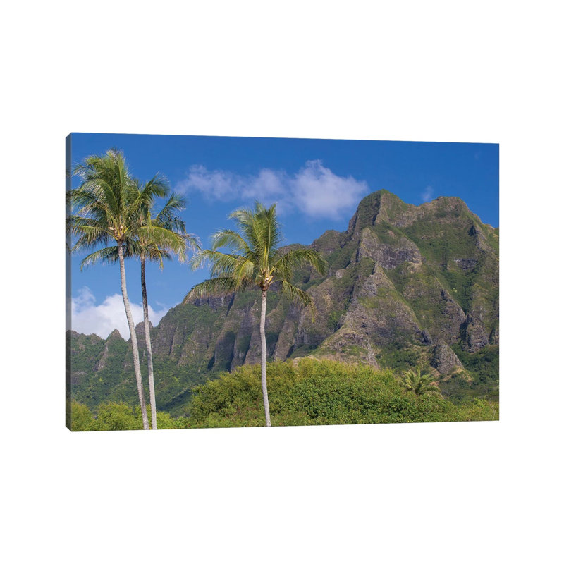 Palm Trees With Mountain Range In The Background, Tahiti, French Polynesia I by Panoramic Images - Wrapped Canvas Print