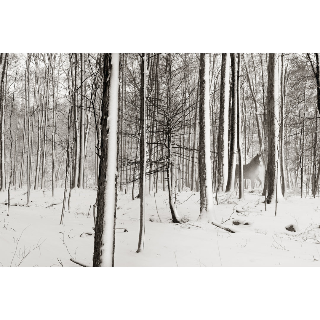 Leinwandbild A Snowy Walk I von James McLoughlin