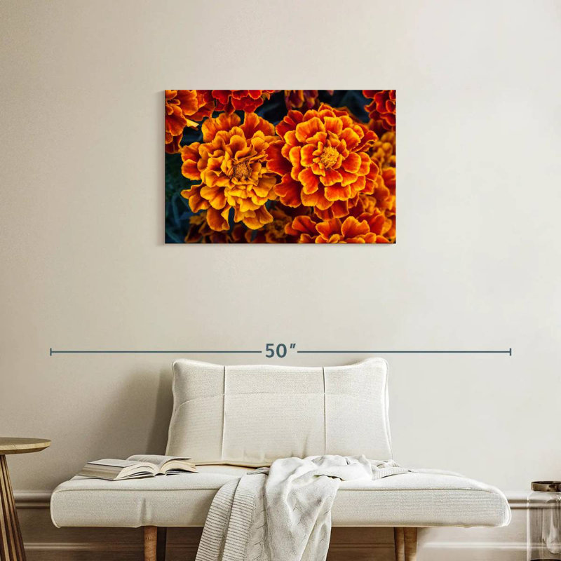 Fleurs de souci Harnek, H 20 po x l 30 po