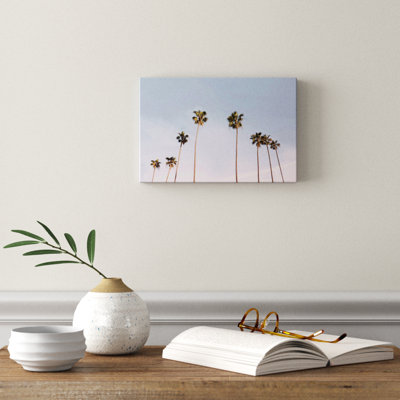 Photographie « california trees »