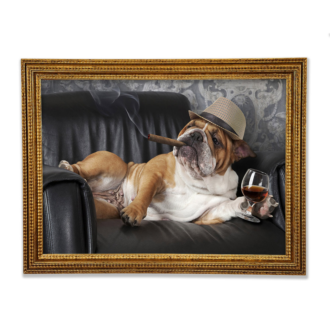 Gerahmtes Wandbild British Bulldog Chillin