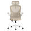 Chaise de bureau ergonomique