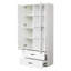 Ashonda 182cm H x 59.5cm W Standard Bookcase