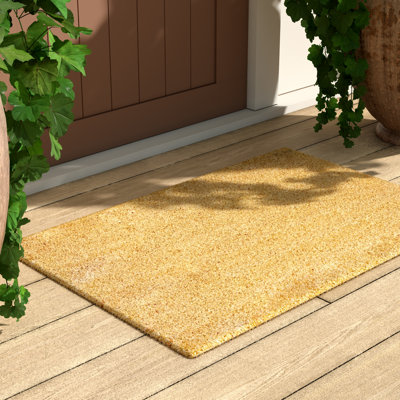 Abeyta Non-Slip Outdoor Doormat