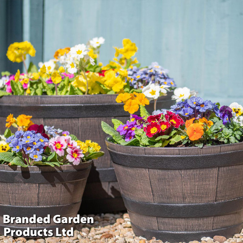 Pot Planter