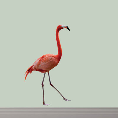 Animals Wall Decal