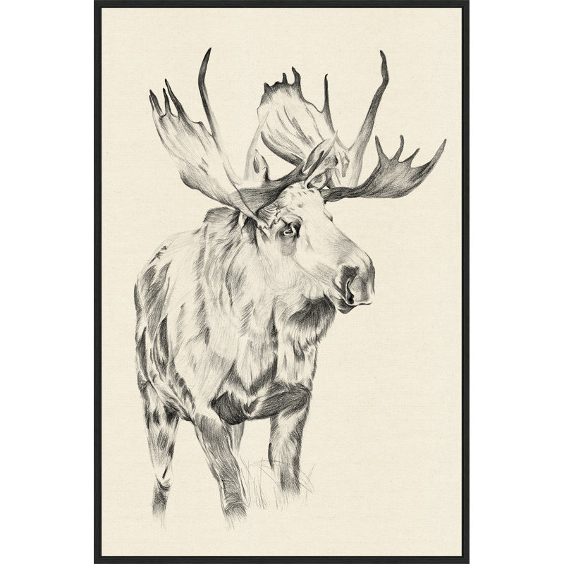 Standing Moose