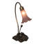 Allengrove Arched Table Lamp