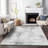 Premium Machine Washable Prisco Silver Rug-1708203378