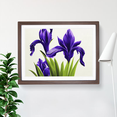 Spectacular Iris Flowers - Framed Print