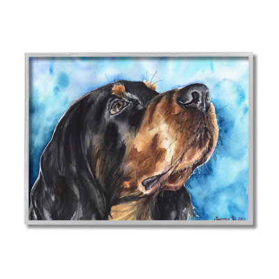 Portrait de chien Gordon Setter sur fond bleu vif