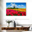 Champ de tulipes Alvord Holland-108736693