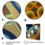 Macro photographie de cellules marines - reproduction-94213926-94213931