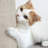 PETMAKER Cat Scratching Post with Carpeted Base ' 27.75-Inch Sisal Burlap Fabric Scratcher