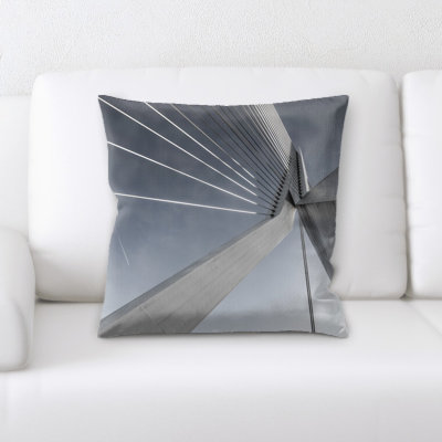 Microsuede Reversible Throw Pillow