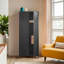 Abdul-Raheem 2 Door Steel Wardrobe-1476214088