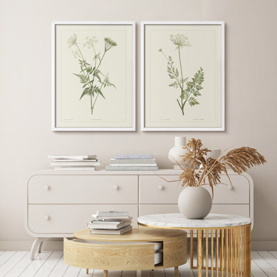 Vintage Botanical Herb Study Framed Wall Art Prints Set of 2 - Minimal Green Plant Illustration for Kitchen Dining Room