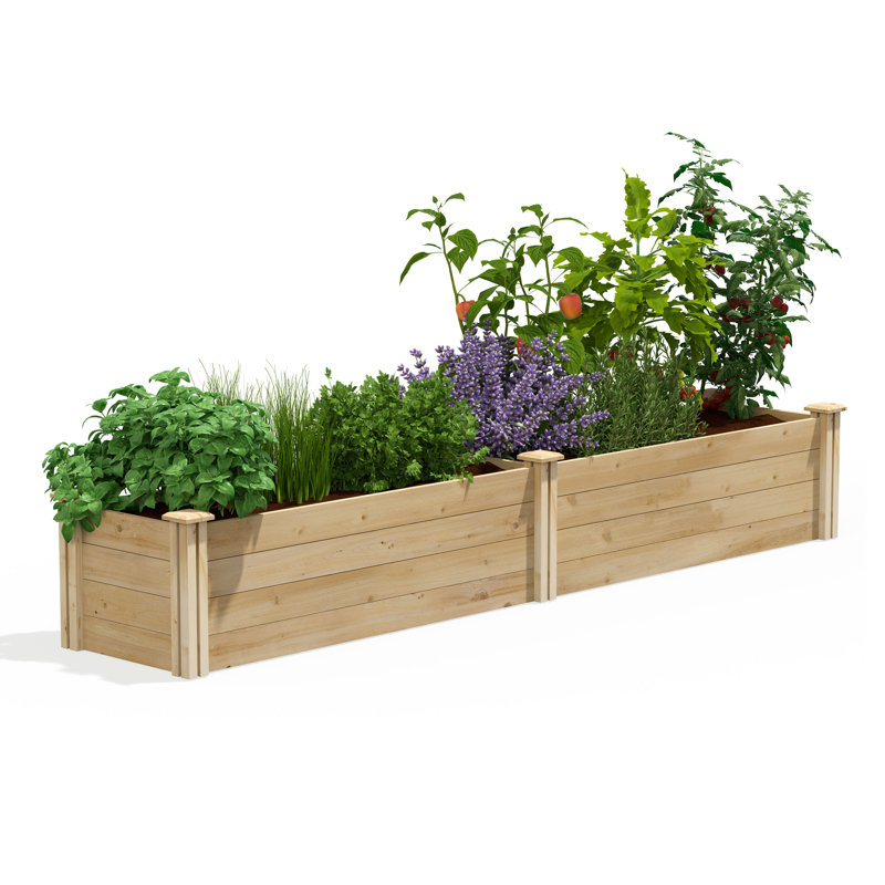 Original Cedar Raised Garden Bed, 14" H x 96" W x 16" D