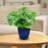 Atenea Francine Round Imperial Ceramic Outdoor Planter-860479538-860479536