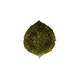Riviera Stoneware Appetizer Plate
