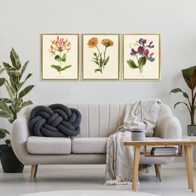 Ensemble de cadres flottants 3 pièces Vintage Flowering Plants, conception par Connie Resch