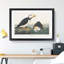 Atlantic Puffins by John Audubon - Single Picture Frame Painting-55456787-55456790