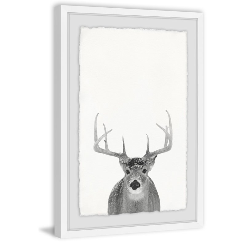 Grey Deer - Single Picture Frame Print, 46 cm H x 30 cm W