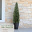 120cm Tree