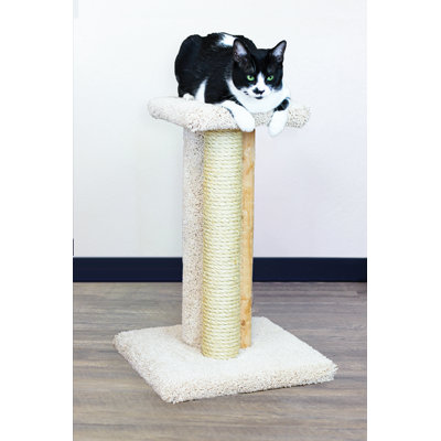 Arbre à chat 24 po Premier