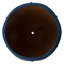 CREST PLANT, NEIGE-1178832785-1178832814