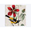 « aviaire crop i », impression sur toile-72228123-72228124-72228130