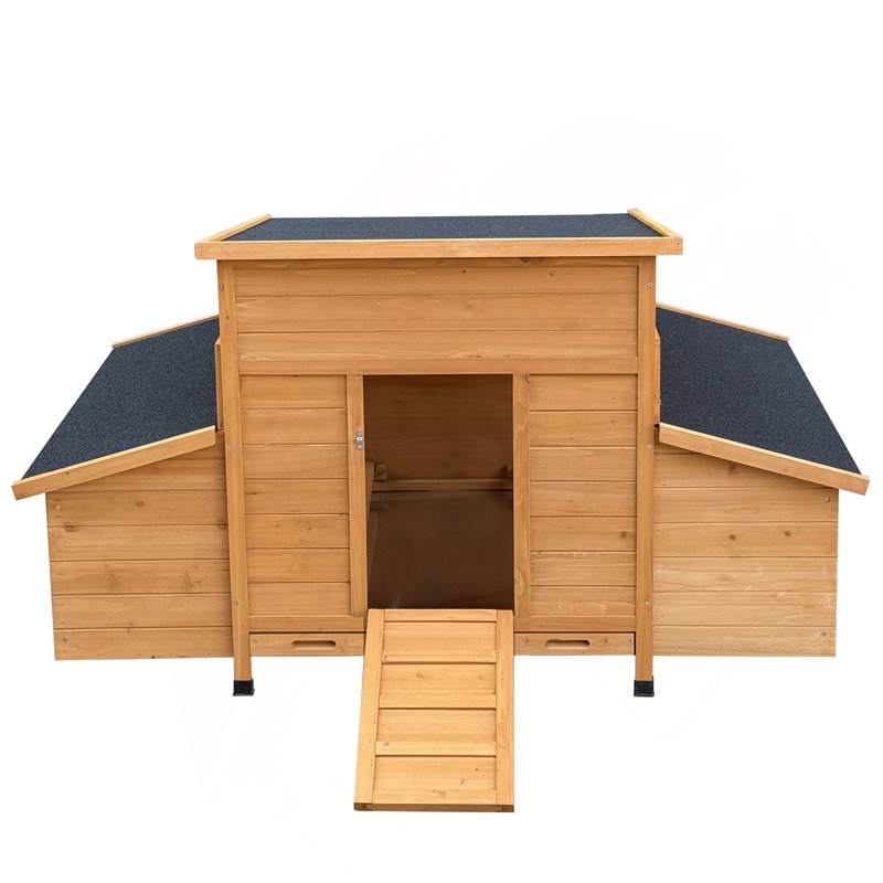 Modern Chicken Coop