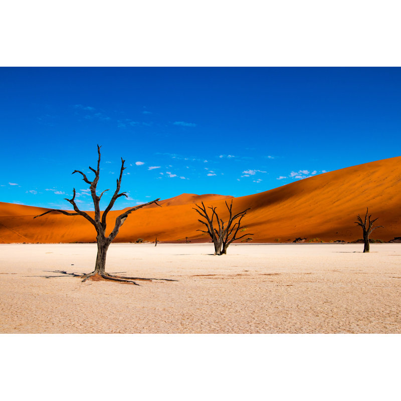 Deadvlei In Sossusvlei, Namibia by Solodkayamari - Wrapped Canvas Print, 51cm H x 76cm W x 3.8cm D