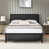 Dark Gray/Black selected