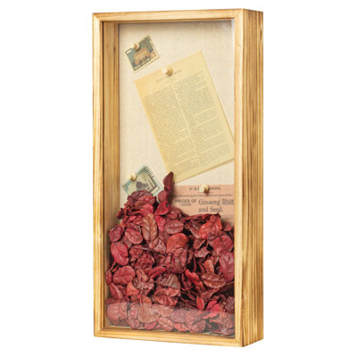 Shadow Box Frame 8X16 Shadow Box Display Case With Linen Back Of Awards Memorabilia Flower, Pictures, Keepsakes?Bouquet?Medals And More Photos Memory Box