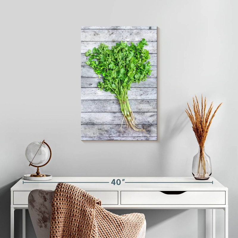Harnek Cilantro, 24" H x 16" W