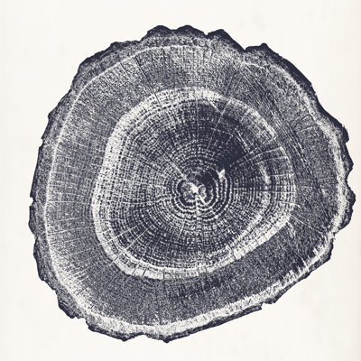 Tree Ring III - Wrapped Canvas Painting