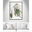 «Pearly Beauty II» par Eva Watts-129313449-129313462-129313491