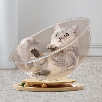 Modern Space Capsule Cat Lounge – Clear Acrylic Dome