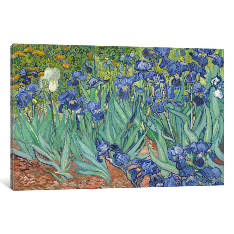 «Irises, 1889» par Vincent van Gogh, reproduction d'art sur toile tendue, H 12 po x l 18 po x p 1,5 po