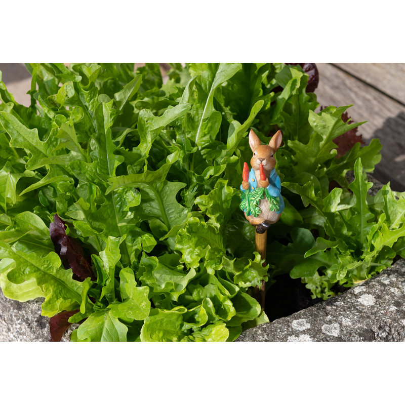 Peter Rabbit mangeant des radis