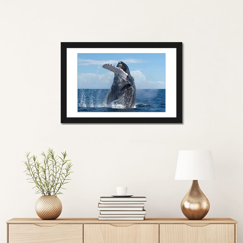 « baleine baleineing », baleine baleine national marine sanctuary, maui, impression sur toile, Papier beaux-arts encadré noir