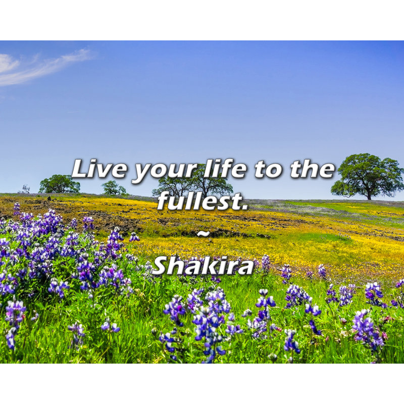 Citation de Shakira: Vivez votre vie au maximum., H 15 po x l 18 po